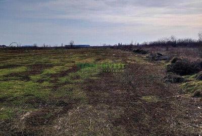 Teren de 558 mp, în Berceni