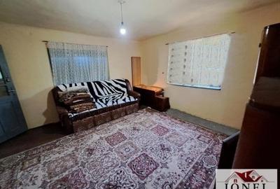 Casa de vanzare cu 46774 mp teren in zona Vintu - 6