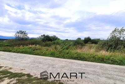Teren extravilan 4800mp la intrare in Mohu - 4