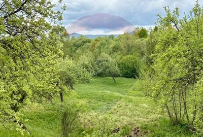 Teren agricol extravilan de 20876 mp, în Breb - 7