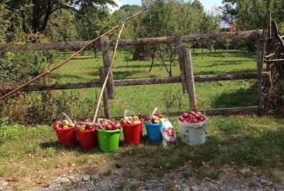 Teren de 800 mp, în Breaza - 3