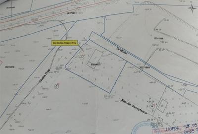 Casa individuala, curte proprie | Giulesti - Chitila Triaj | 720 mp - 5