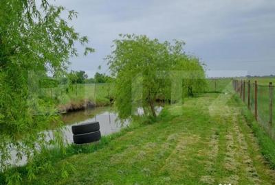 Casă cu 5 camere cu Teren 5585 Mp în Central - 9