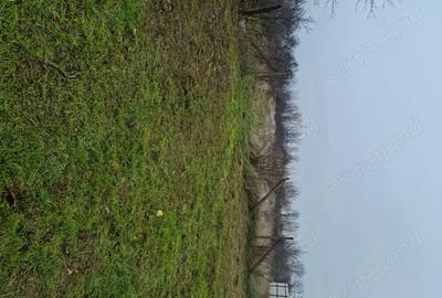 Casă în Garoafa