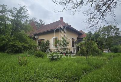 Proprietate cu potential turistic in Gurahont - 1