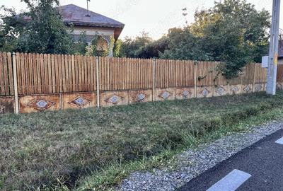 Casa la tara , Dambovita . - 6