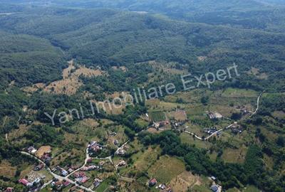 Teren de vanzare in comuna Baicule?ti, sat Valea lui Enache, jude? Arge?. - 4