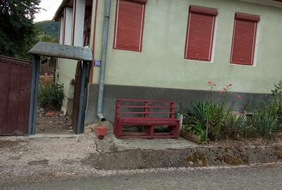 Casă cu 2 camere în Izvoarele (Livezile) - 6