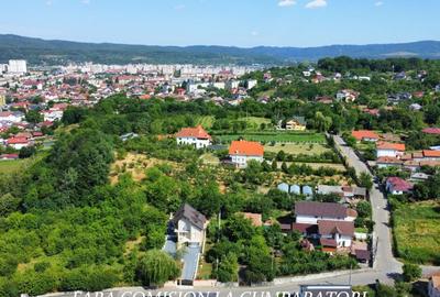 ANL- MORILOR, TEREN 635 MP - 1