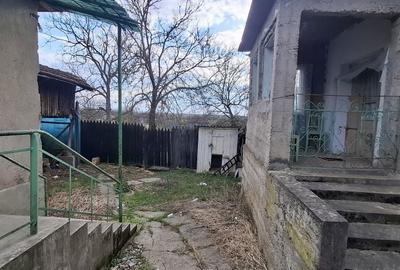 Casă cu 3 camere în Vintere - 3