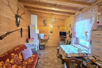 De vanare - Casa Dragomiresti Vale - 20