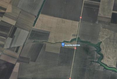 Teren de 16700 mp, în Periferie - 6