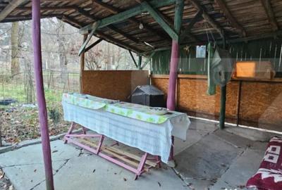 Casă cu 2 camere cu Teren 1110 Mp în Bezdead - 10