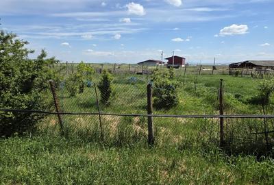 Casă cu 4 camere în Sintea Mare - 8
