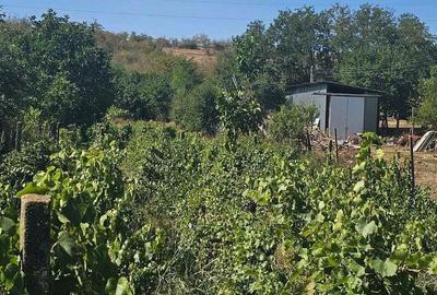 Teren de 1800 mp, în Foltești - 5