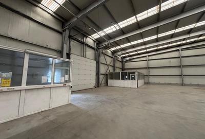Spațiu industrial, de 458.20999145508 mp, în Șagului - 11