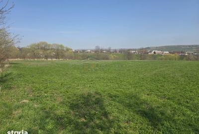 Teren de 15000 mp, în Ilișești - 2