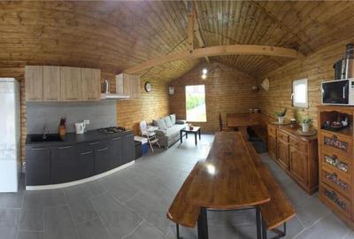 VILA SUPERBA AFACERE LA CHEIE COSTINESTI - 27