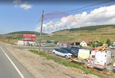 Teren Construcții intravilan de 10000 mp, în Vâlcele - 4