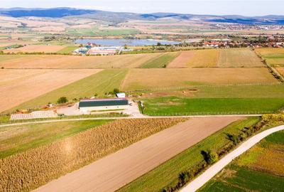 FILM! 18.000 mp,extravilan,agricol constructii, recomandat:f - 13