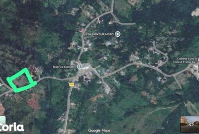 Teren de 4754 mp, în Moțăieni - 1