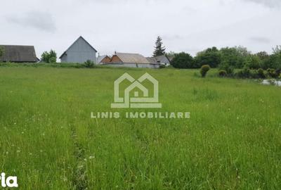 Casă cu 2 camere cu Teren 2000 Mp în Bălcăuți - 2