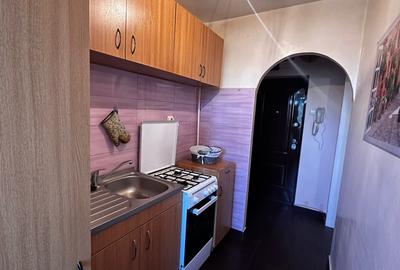 Apartament cu 2 camere, etaj 2/4, zona Podu Ros - 4