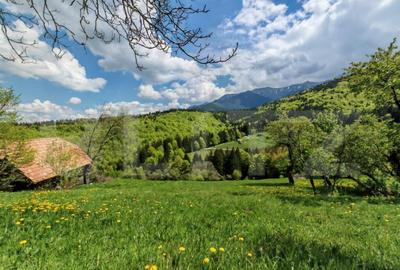 Teren de 3400 mp, în Bran - 6