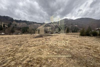 TEREN INTRAVILAN 500 MP SATIC- RUCAR - 10