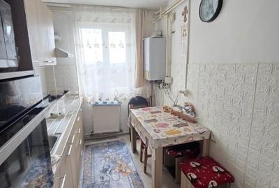 Apartament  Cornisa Bistritei - 4