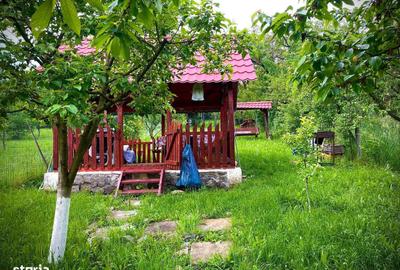Apartament cu 2 camere în Dâmbul Rotund - 7