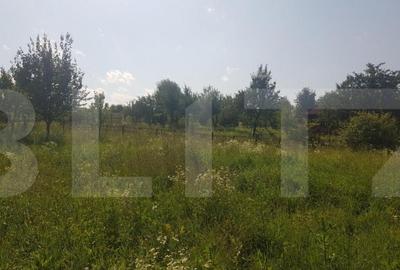 Teren de 11600 mp, în Someșeni