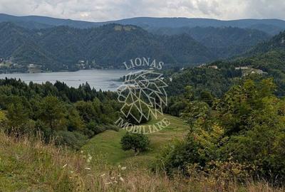 Spațiu comercial, în Colibița - 3