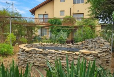 Vanzare vila P+1+M  Sinesti Ialomita  Balta Mostistea - 2