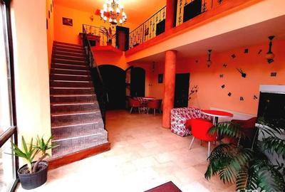 Spațiu comercial, de 800 mp, în Valea Crișului - 5