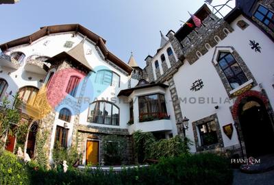 Exclusivitate si Istorie - Castelul Printul Vanator din Turda Exclusivitate si Istorie - Castelul Printul Vanator din Turda - 2