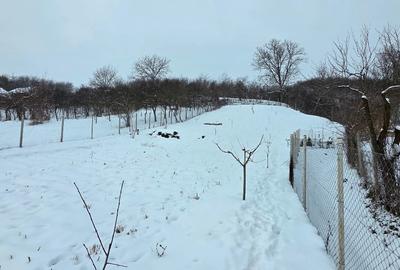 Casă individuală cu 3 camere cu Teren 2142 Mp în Chinari - 6