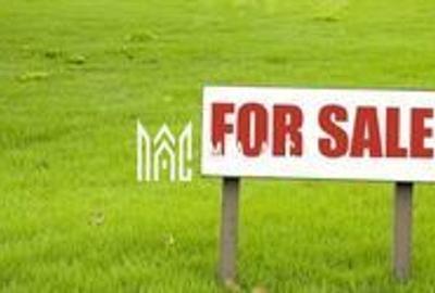 Teren intravilan | 1345 mp Parcelabil | Terezian - 2