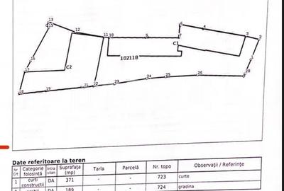 Casa centrala de vanzare in Gura Raului 560 mp curte+gradina - 9