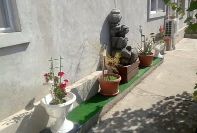 Casa in Coiciu 3 camere teren 265 - 4