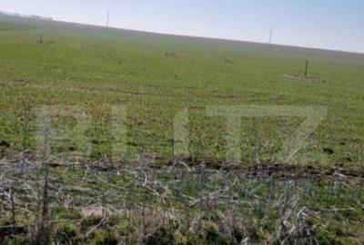 Teren intravilan cu o suprafata 1500 mp in zona Metro - 4