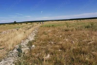 Teren de 1000 mp, în Păușa - 1