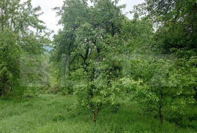 Teren intravilan Cucuteni - 3