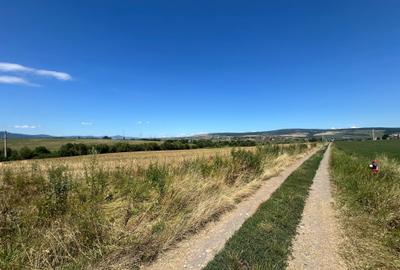 De vânzare teren extravilan – Calea Feldioarei, 10.000 mp - 6