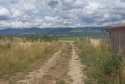 Teren de 4102 mp, în Valea Crișului - 3