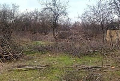 Casă în Florica - 3