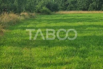 Teren pretabil cabana sau gradina 1670 mp zona deosebita Sibiel - 3