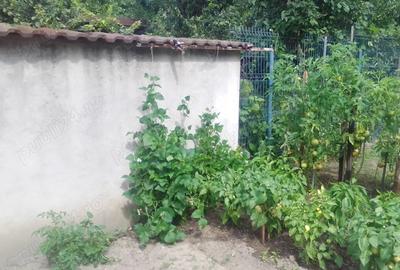 Vand casa cu curte si gradina in zona central istorica a Brasovului - 9