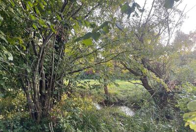 Spațiu comercial, în Sebeș - 3