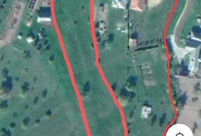 Casă cu 3 camere cu Teren 3867 Mp în Central - 2